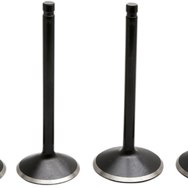 Valve Kit - Evolution