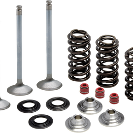 Valve Spring Kit