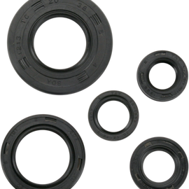 Motor Seals - TTR125