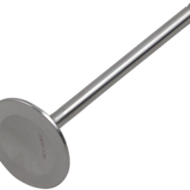 Outer Intake Valve