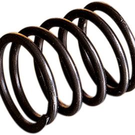 Rotary Valve Spring