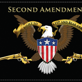 Second Amendment Flag - 6" x 9"