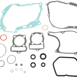 Motor Gasket Kit with Seal - XR100