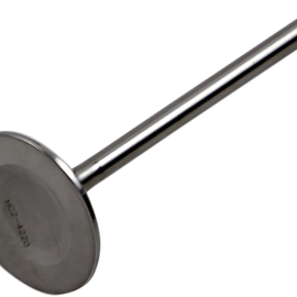 Intake Valve