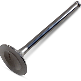 Exhaust Valve