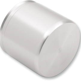 Rear Caliper Piston - FL