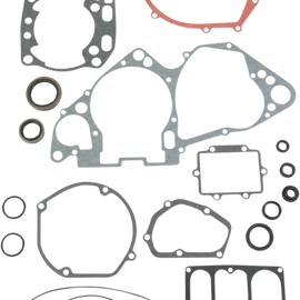 Motor Gasket Kit with Seal - RM250