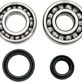 Crankcase Bearing and Seal Kit
