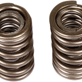 Valve Springs