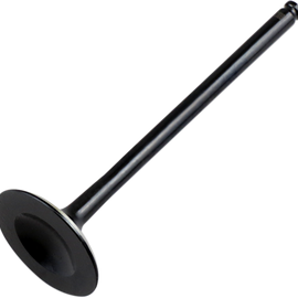 Exhaust Valve