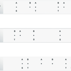 Template Arctic Cat 2.52 Pitch