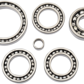 Differential Bearing/Seal Kit - Honda - Front