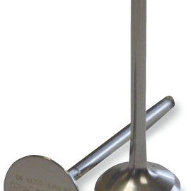 Exhaust Valve