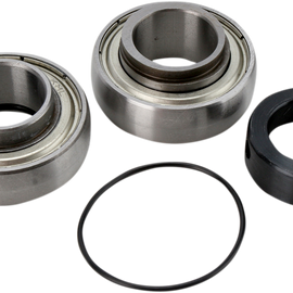 Chain Case Bearing and Seal Kit