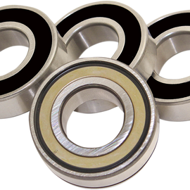 Bearing - Kit - Rear - ABS - FL