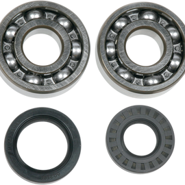 Crankcase Bearing and Seal Kit