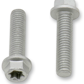 European Bolt M6x25 10-Pack