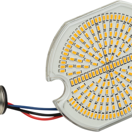 Turn Signal Insert - Front - Amber/Amber