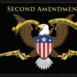 Second Amendment Flag - 10" x 15"