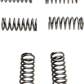 Clutch Springs - 6 pcs.