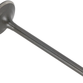 Exhaust Valve