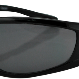 Iowa Sunglasses - Shiny Black - Smoke