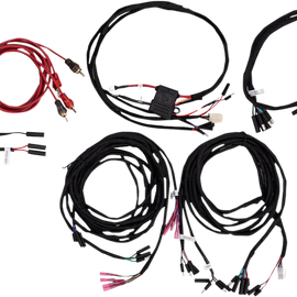 Dual Amp Wire Harness - Universal