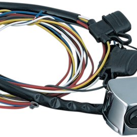 Master Cylinder Accessory Switches