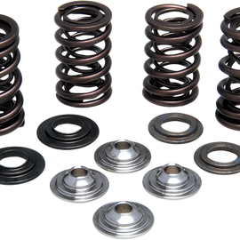 Valve Spring Kit