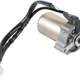 Starter Motor - Polaris