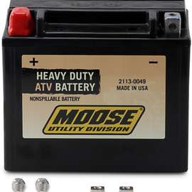 AGM Battery - YTX12