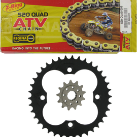 Chain and Sprocket Kit - Honda - TRX 450R/ER - '06-'14