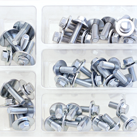 Flange Bolt Assortment