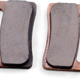 Sintered Brake Pads - S1000RR