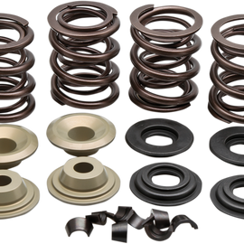 Valve Spring Kit