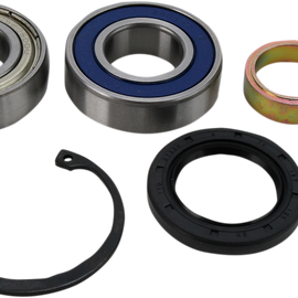 Chain Case Bearing and Seal Kit