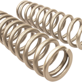 Front Shock Springs - Silver