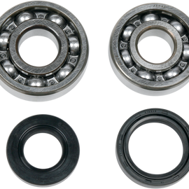 Crankcase Bearing and Seal Kit