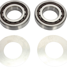 Crank Bearings