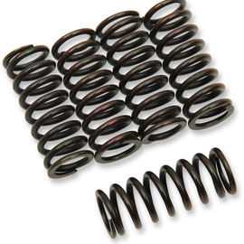 Clutch Springs