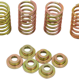 Clutch Spring Kit