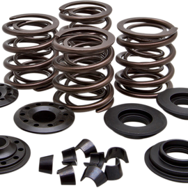 Valve Spring Kit061632