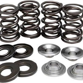 Valve Spring Kit