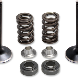 Valve Spring Kit