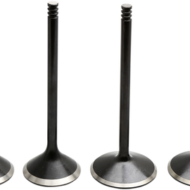 Valve Kit - Evolution/1200