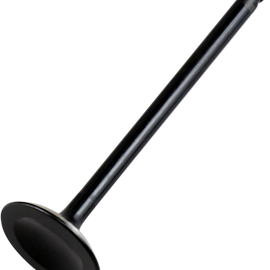 Intake Valve