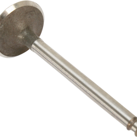 Intake Valve