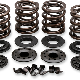 Valve Spring Kit7018073179