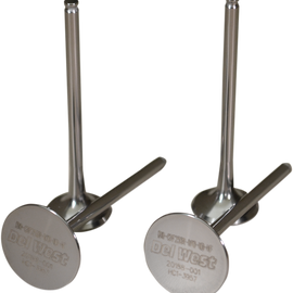 Exhaust Valves