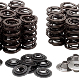 Valve Spring Kit